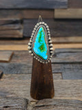 Sonoran Turquoise Ring by L. Ganado Size 8