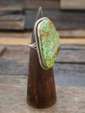 Sonoran Turquoise Ring by L. Ganado Size 8