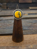 Circular Bumblebee Jasper Ring by Jameson Garcia Size 6