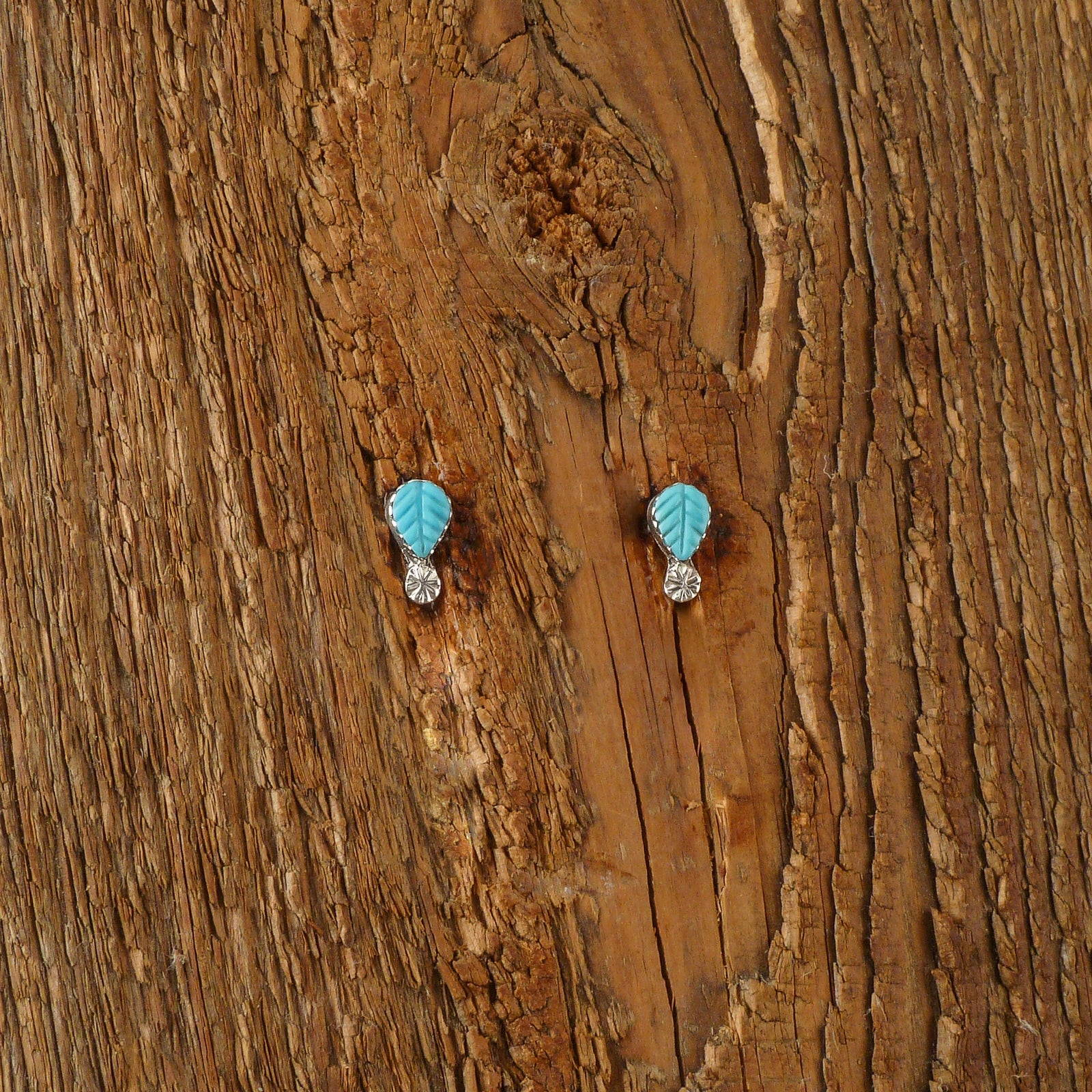 Donovan Quam Turquoise Feather Stud Earrings